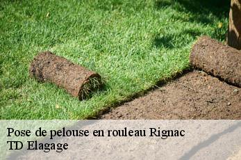 Pose de pelouse en rouleau  rignac-12390 TD Elagage