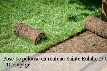 Pose de pelouse en rouleau  sainte-eulalie-d-olt-12130 TD Elagage
