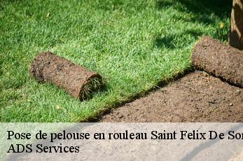 Pose de pelouse en rouleau saint-felix-de-sorgues-12400 ADS Services