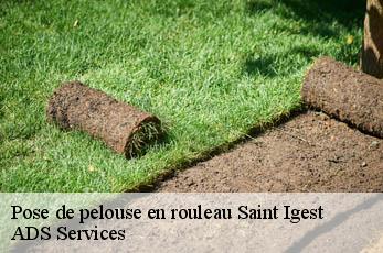 Pose de pelouse en rouleau  saint-igest-12260 ADS Services