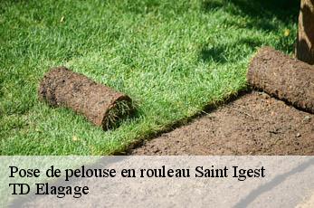 Pose de pelouse en rouleau  saint-igest-12260 TD Elagage