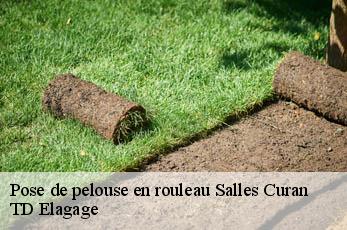 Pose de pelouse en rouleau  salles-curan-12410 TD Elagage