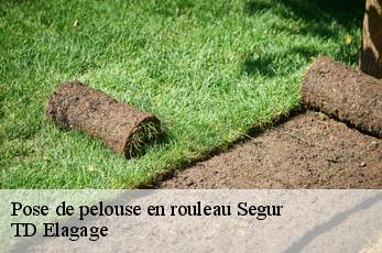Pose de pelouse en rouleau  segur-12290 TD Elagage