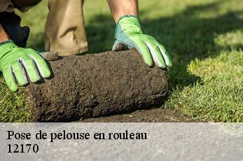 Pose de pelouse en rouleau 12170