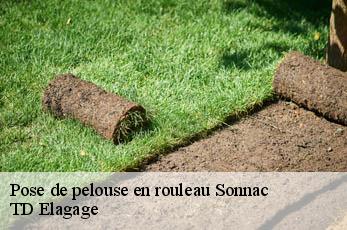 Pose de pelouse en rouleau  sonnac-12700 TD Elagage