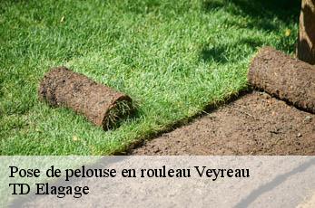 Pose de pelouse en rouleau  veyreau-12720 TD Elagage