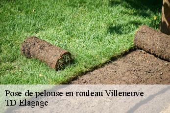 Pose de pelouse en rouleau  villeneuve-12260 TD Elagage