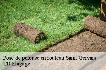 Pose de pelouse en rouleau  saint-gervais-12460 TD Elagage