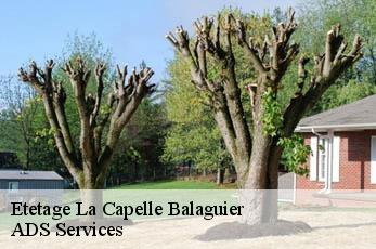 Etetage la-capelle-balaguier-12260 Elagage Beaumann