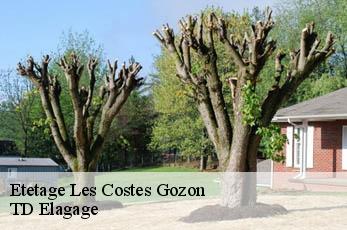 Etetage  les-costes-gozon-12400 TD Elagage