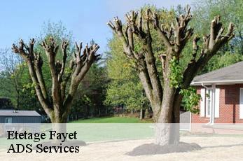 Etetage  fayet-12360 ADS Services