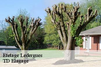 Etetage  ledergues-12170 TD Elagage