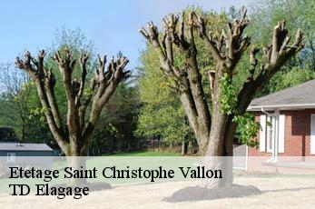 Etetage  saint-christophe-vallon-12330 TD Elagage