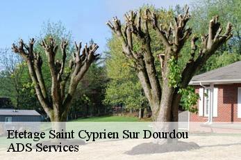 Etetage  saint-cyprien-sur-dourdou-12320 ADS Services