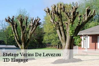 Etetage  vezins-de-levezou-12780 TD Elagage