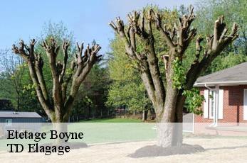 Etetage  boyne-12640 TD Elagage