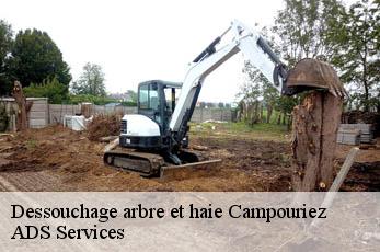 Dessouchage arbre et haie  campouriez-12140 ADS Services