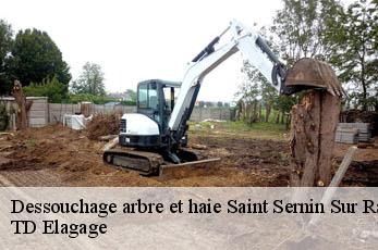 Dessouchage arbre et haie  saint-sernin-sur-rance-12380 TD Elagage