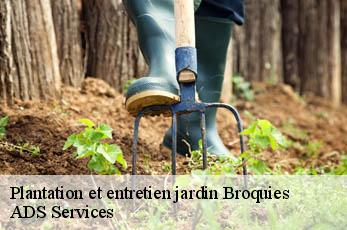Plantation et entretien jardin  broquies-12480 ADS Services