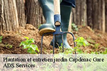 Plantation et entretien jardin  capdenac-gare-12700 ADS Services