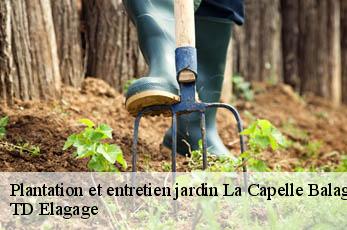 Plantation et entretien jardin  la-capelle-balaguier-12260 TD Elagage