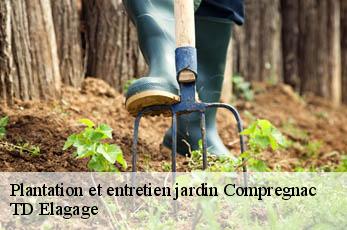 Plantation et entretien jardin  compregnac-12100 TD Elagage