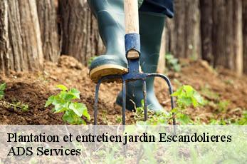 Plantation et entretien jardin  escandolieres-12390 ADS Services