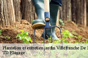 Plantation et entretien jardin  villefranche-de-rouergue-12200 TD Elagage
