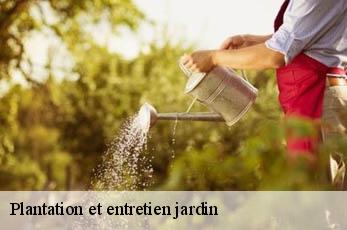 Plantation et entretien jardin