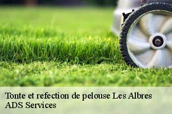 Tonte et refection de pelouse  les-albres-12220 ADS Services