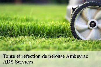 Tonte et refection de pelouse  ambeyrac-12260 ADS Services