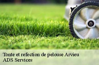 Tonte et refection de pelouse arvieu-12120 Elagage Beaumann