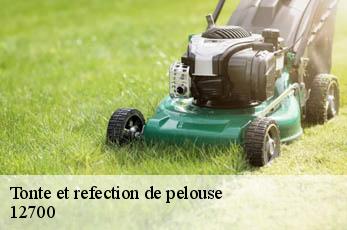 Tonte et refection de pelouse  12700