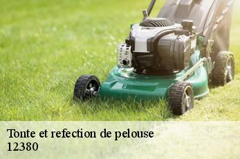 Tonte et refection de pelouse  12380