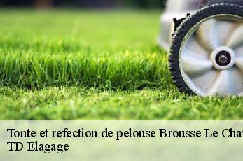 Tonte et refection de pelouse  brousse-le-chateau-12480 TD Elagage