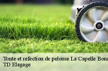 Tonte et refection de pelouse  la-capelle-bonance-12130 TD Elagage