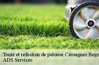 Tonte et refection de pelouse cassagnes-begonhes-12120 Elagage Beaumann