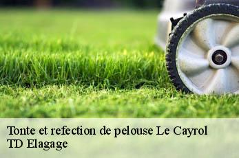 Tonte et refection de pelouse  le-cayrol-12500 TD Elagage