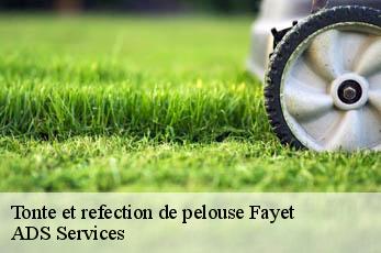 Tonte et refection de pelouse  fayet-12360 Elagage Beaumann