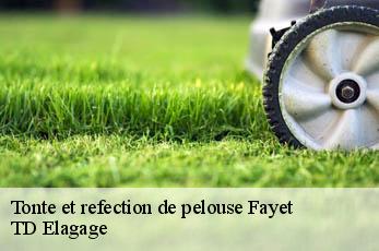 Tonte et refection de pelouse  fayet-12360 TD Elagage