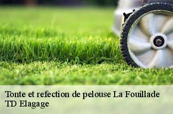 Tonte et refection de pelouse  la-fouillade-12270 TD Elagage