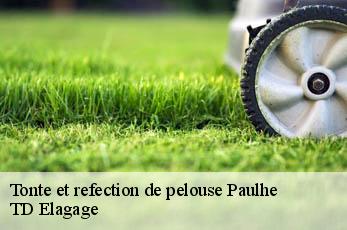 Tonte et refection de pelouse  paulhe-12520 TD Elagage