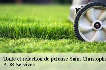 Tonte et refection de pelouse saint-christophe-vallon-12330 ADS Services