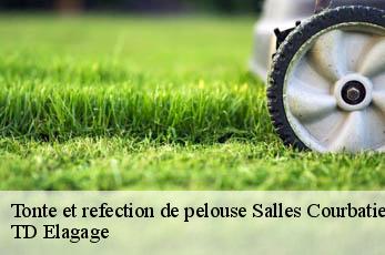 Tonte et refection de pelouse  salles-courbaties-12260 TD Elagage