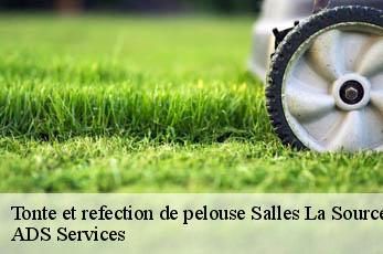 Tonte et refection de pelouse salles-la-source-12330 Elagage Beaumann