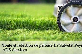 Tonte et refection de pelouse la-salvetat-peyrales-12440 ADS Services