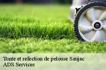 Tonte et refection de pelouse saujac-12260 Elagage Beaumann