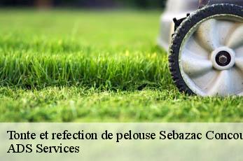 Tonte et refection de pelouse sebazac-concoures-12740 ADS Services
