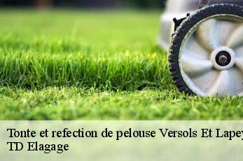 Tonte et refection de pelouse  versols-et-lapeyre-12400 TD Elagage