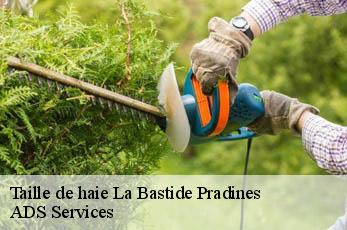 Taille de haie  la-bastide-pradines-12490 ADS Services